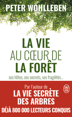 La vie au cœur de la forêt