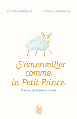 S’émerveiller comme Le Petit Prince