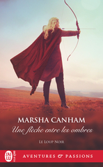 Une flèche entre les ombres