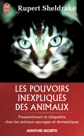 Les pouvoirs inexpliqués des animaux